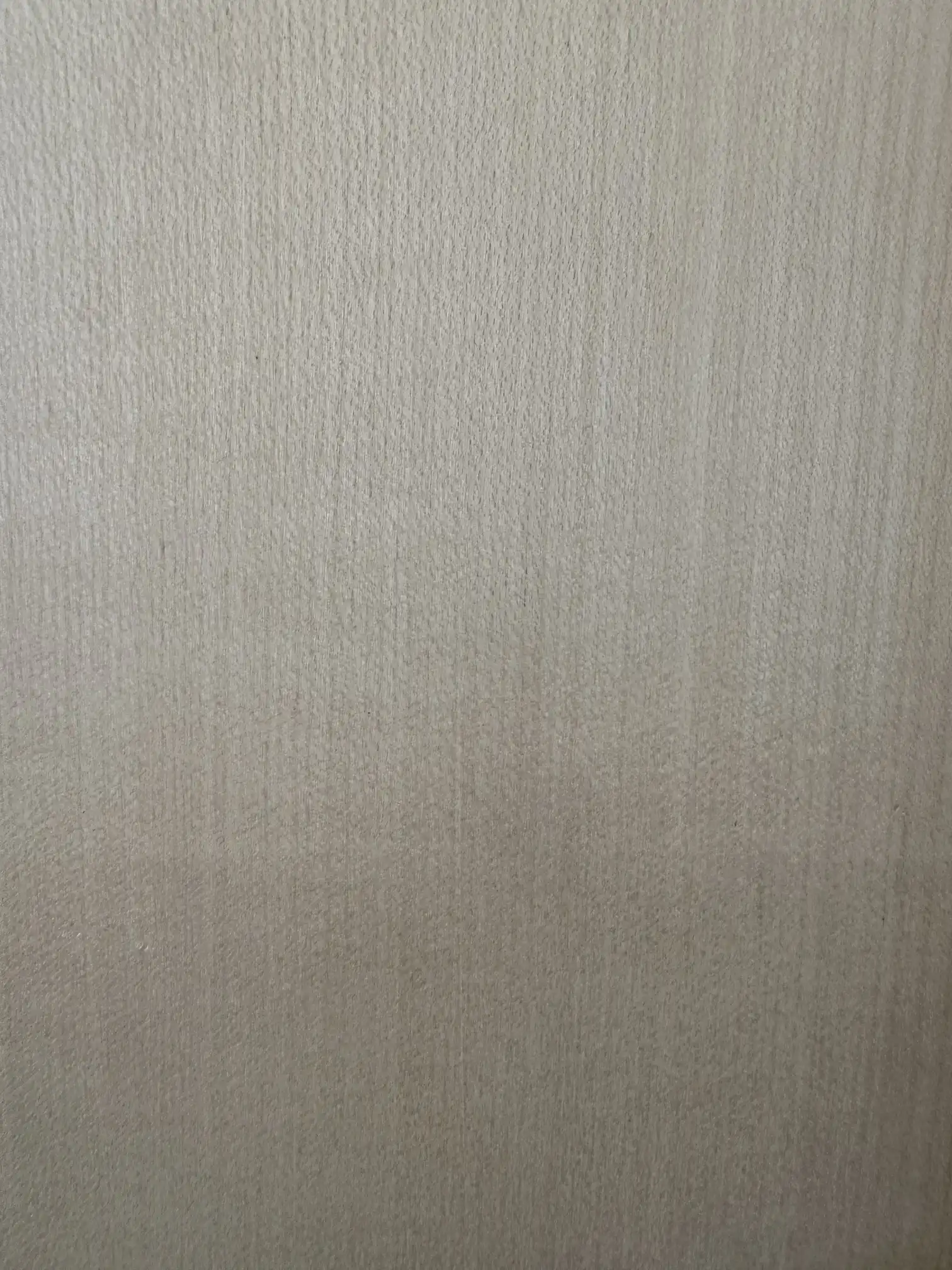 Sycamore