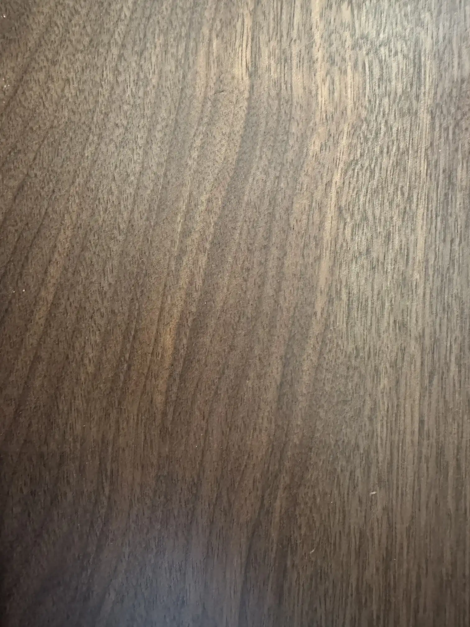 Walnut (American Black)
